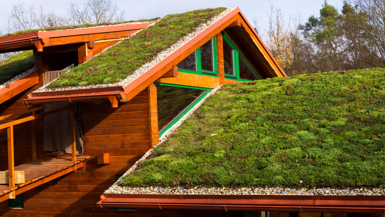 green roof 770