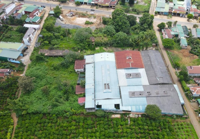Ông Đặng Lê Nguyên Vũ muốn nhận lại 4.337 m2 đất ở Lâm Đồng - Ảnh 1.